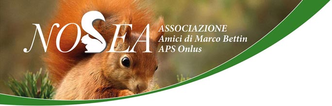 Logo Associazione Nosea