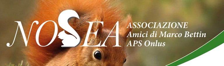 Logo Mobile Associazione Nosea